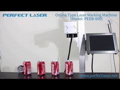 Perfecte laseropheffende lasermarkeringsmachine voor flessen of productielijn PEDB-600